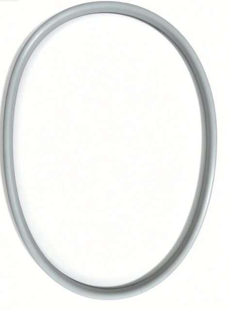 GUARNIZIONE PORTA ASCIUGATRICE 140066097019
